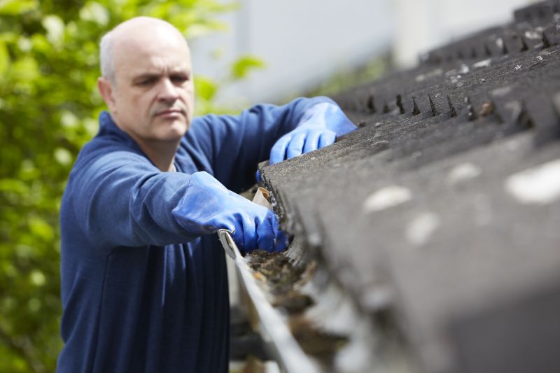 Professional Gutter Services