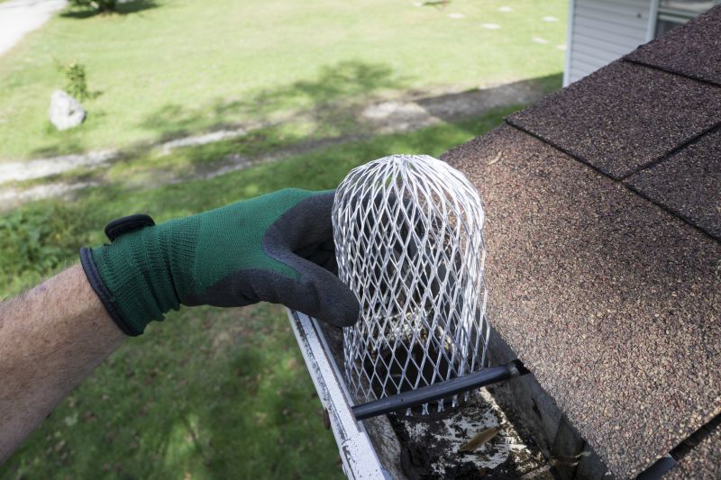 Gutter Service